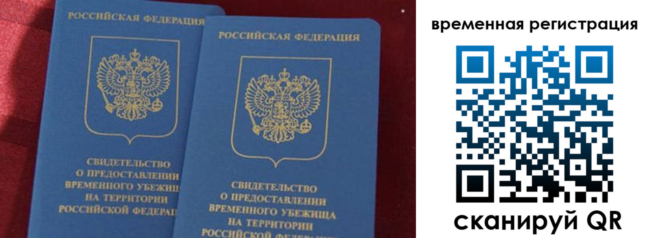 временная регистрация гарантия в Котово