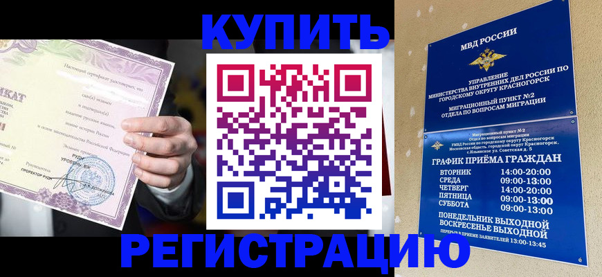 временная регистрация собственник в Котово